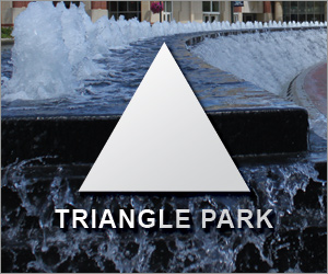 Triangle Park